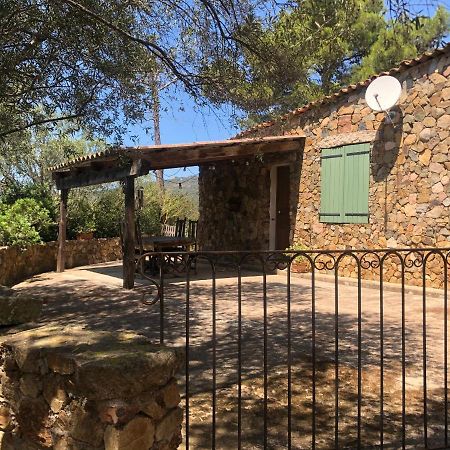 Maison De Campagne Sarragia Екстериор снимка