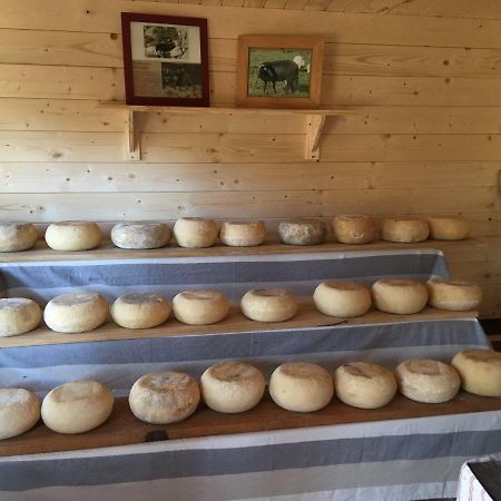 Maison De Campagne Sarragia Екстериор снимка