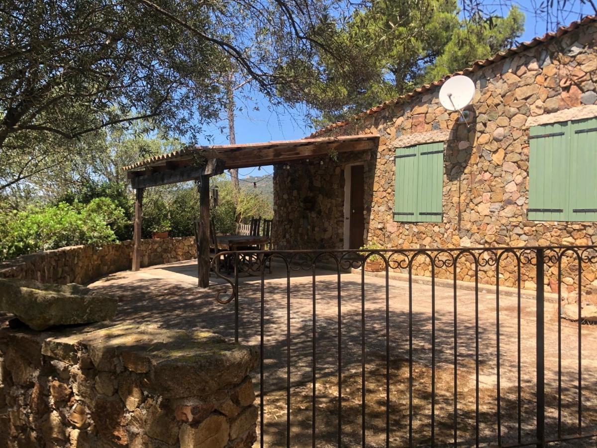 Maison De Campagne Sarragia Екстериор снимка